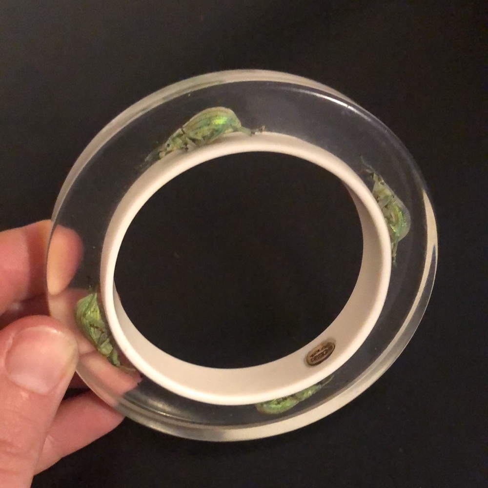 Beetle and Lucite Bracelet